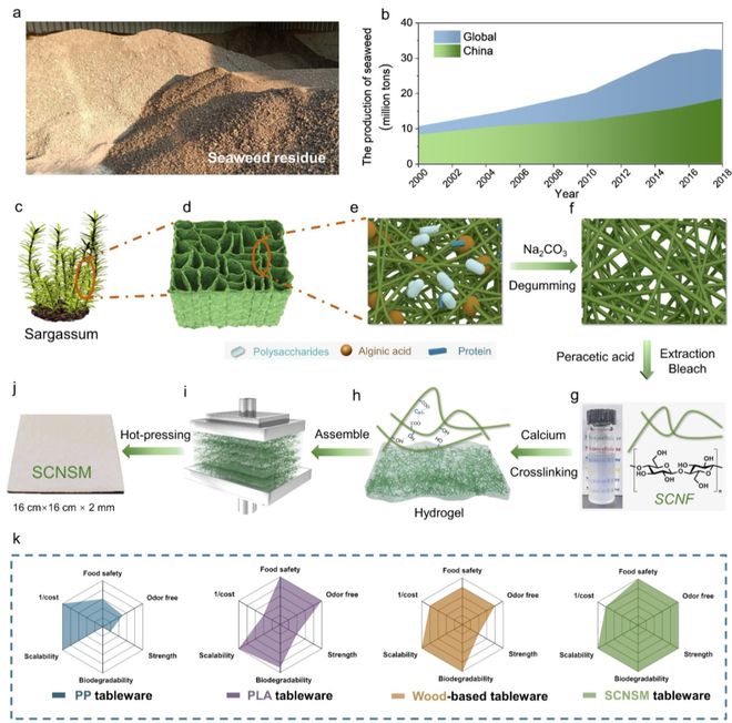 中科大俞書宏院士團隊AM:可食用、超強、熱穩定好的海藻基結構材料,可生物降解餐具新選擇!