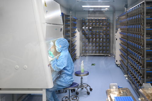 柳州市人民醫院實驗動物中心揭牌 開啟基礎科研新征程