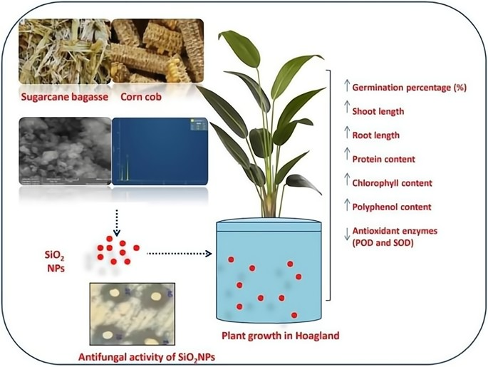 解密碳基生命與硅基生命:為什么說宇宙環境,更適合硅基生命?