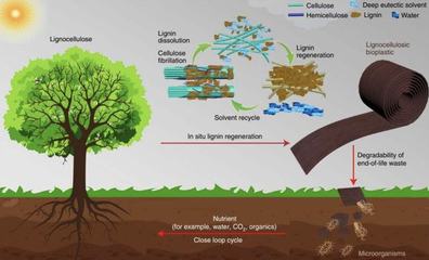 取于自然用于發(fā)展 生物基材料引領(lǐng)未來市場新趨勢(shì)